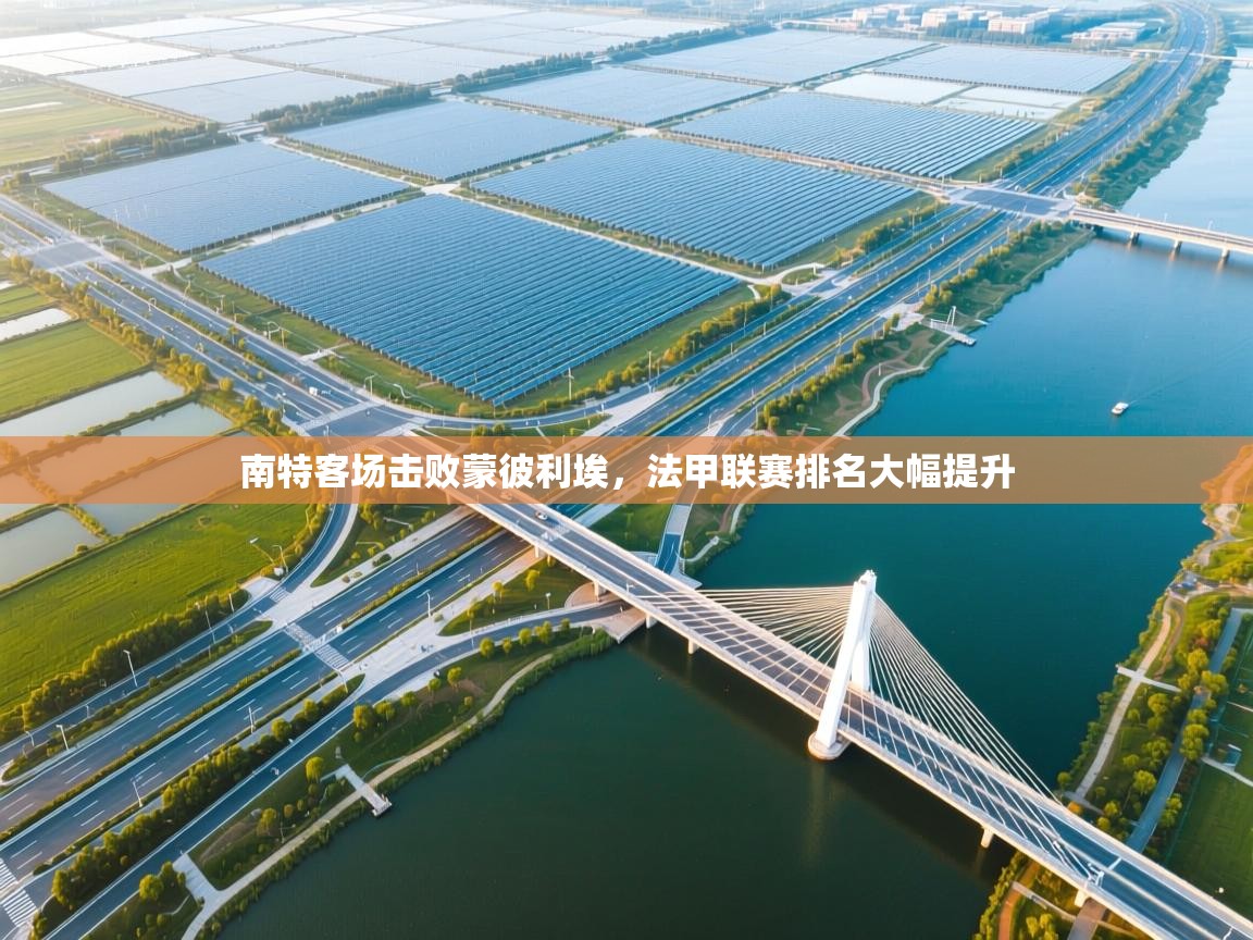 南特客场击败蒙彼利埃，法甲联赛排名大幅提升  第2张